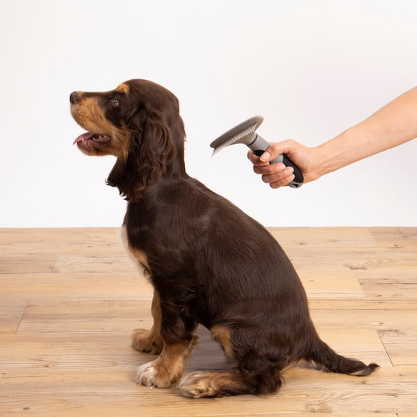 Ķemme mājdzīvniekiem – Love Story-image-1