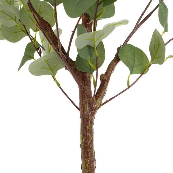 Mākslīgais augs Eucalyptus – Casa Selección-image-2