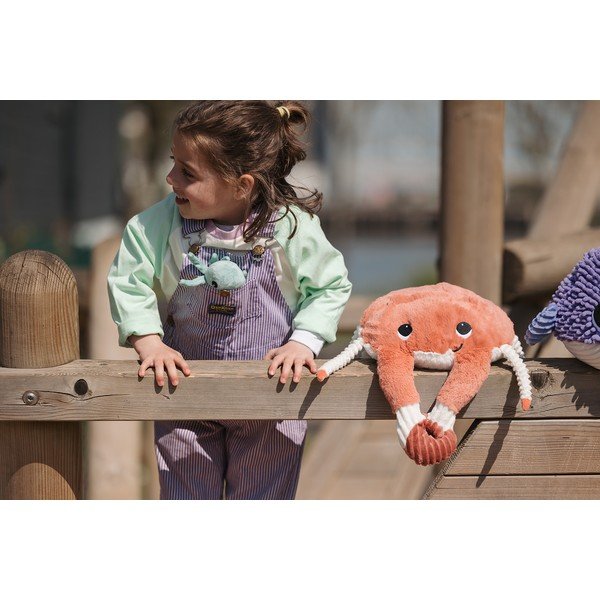 Plīša rotaļlietas (2 gab.) Ptipotos Cassecou – Les Deglingos-image-2