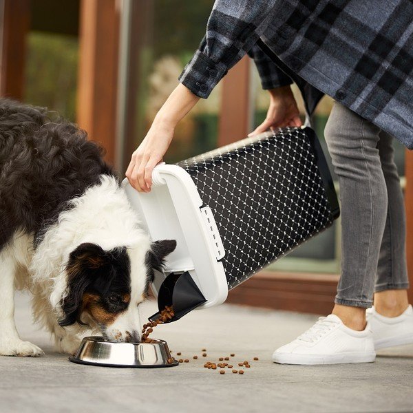 Melns dzīvnieku barības uzglabāšanas trauks 50 l Cody – Rotho-image-1