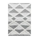Pelēks paklājs 160x230 cm Pisa – Ayyildiz Carpets