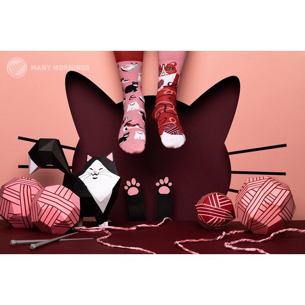 Zeķes Many Mornings Playful Cat, 39-42 izmērs-image-1