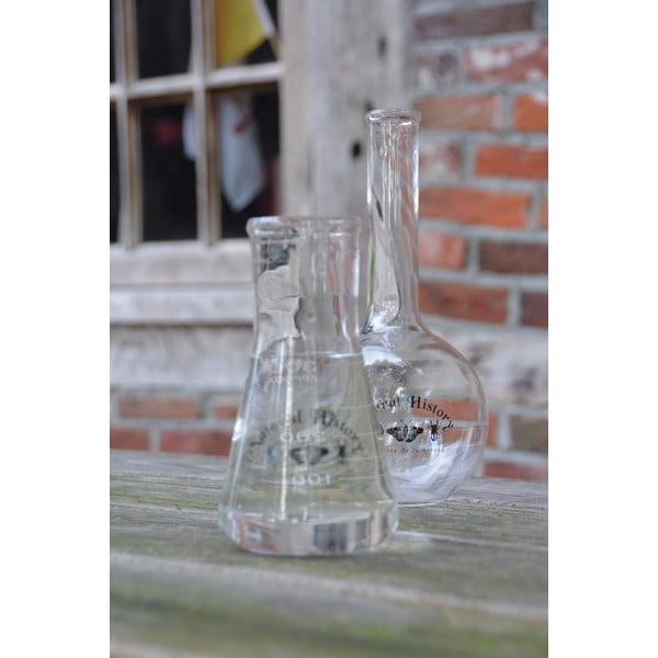 Stikla vāze (augstums 23 cm) Natural History – Esschert Design-image-1