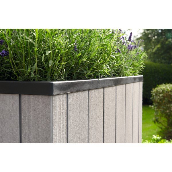 Paaugstināta dārza dobe Sequoia Duotech – Keter-image-1