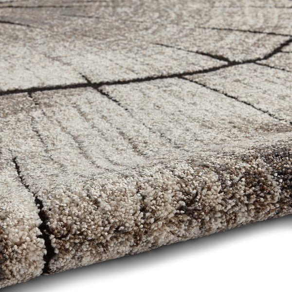 Bēšs paklājs 230x160 cm Woodland – Think Rugs-image-2
