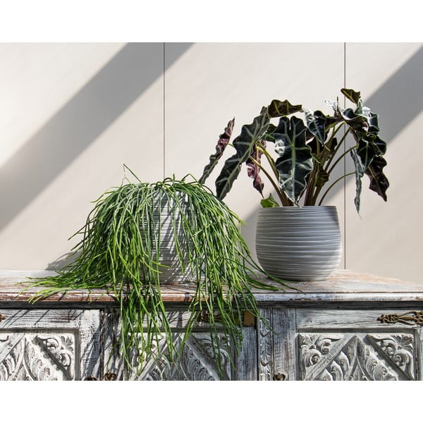 Keramikas ar rokām radīts puķu pods ø 16 cm Dóris – Artevasi-image-1