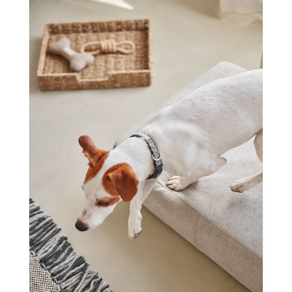 Smilškrāsas suņu gulta 73x60 cm Bowie – Kave Home-image-2