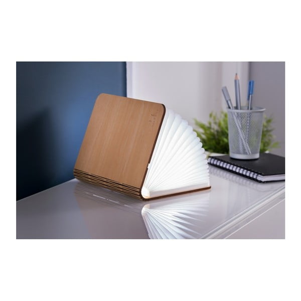 Dabīga toņa gaismas dekors ar USB Booklight – Gingko-image-4