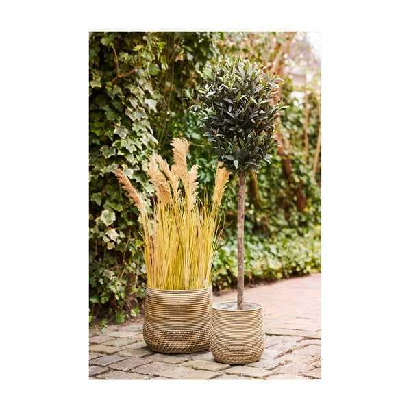 Rotangpalmas uzglabāšanas grozi (2 gab.) ø 39x35 cm Moro – House Nordic-image-2