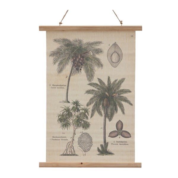 Gobelēns 50x70 cm Palm – Ixia