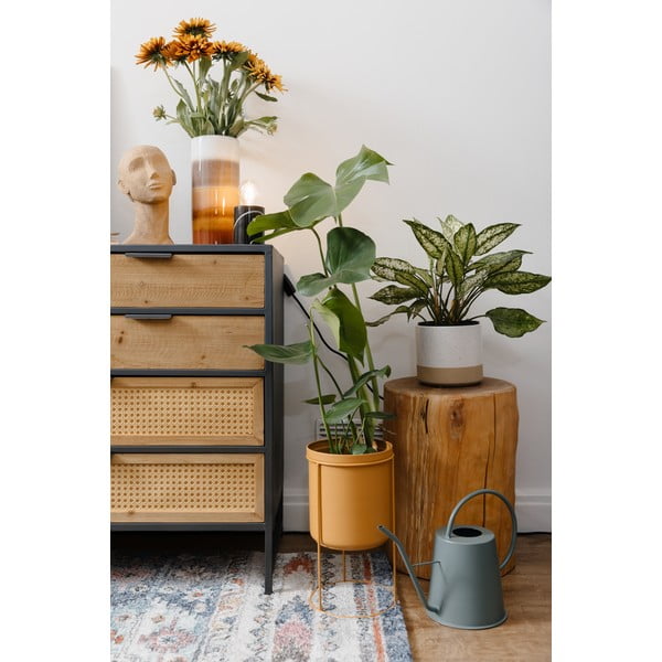 Zaļa metāla lejkanna PT LIVING, augstums 24 cm-image-2