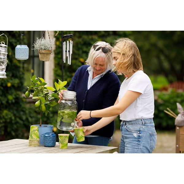 10 lielu vienreizlietojamo krūzīšu komplekts Esschert Design Farma-image-4