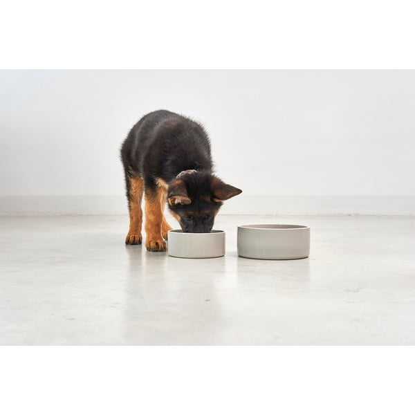 Porcelāna mājdzīvnieku bļodiņa suņiem ø 20 cm Scodella Greige M/L – MiaCara-image-1