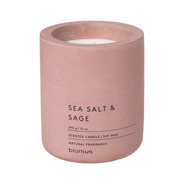 Aromātiskā sojas vaska svece degšanas laiks 55 h Fraga: Sea Salt and Sage – Blomus