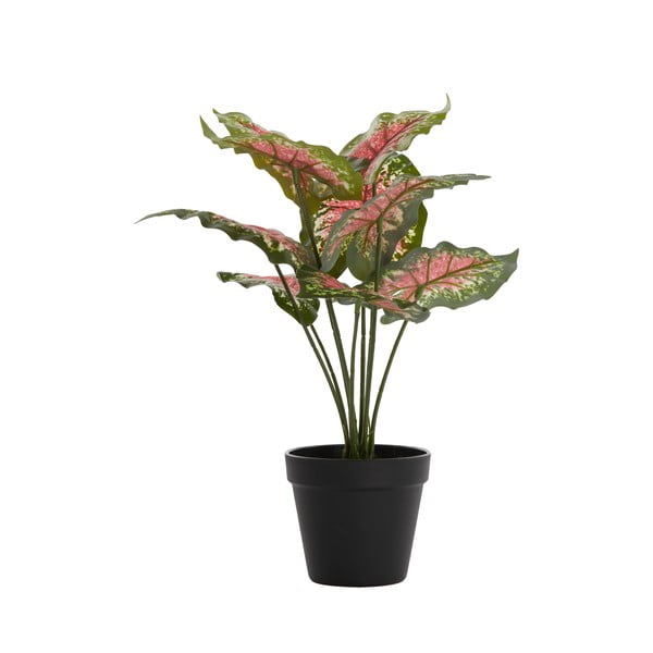 Mākslīgais augs (augstums 40 cm) Caladium – Light & Living