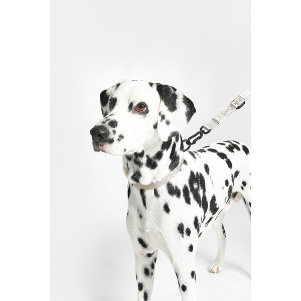 Tumši pelēka kaklasiksna M/L garums 35 cm Modena Asphalt M/ML – MiaCara-image-4