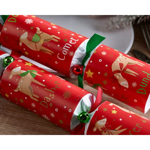 Ziemassvētku pārsteiguma konfektes (6 gab.) Rudolph & Friends – Robin Reed-image-2