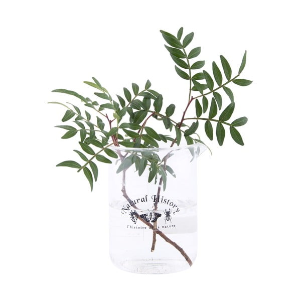 Stikla vāze (augstums 12 cm) Natural History – Esschert Design-image-1