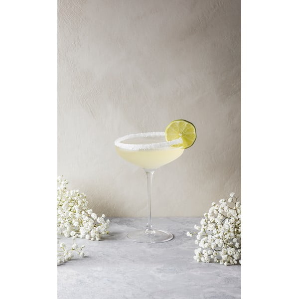 Šampanieša glāze Eva Solo Coupe, 200 ml-image-3