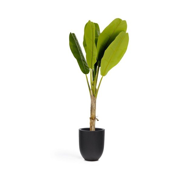 Mākslīgā palma (augstums 160 cm) Baa – Kave Home