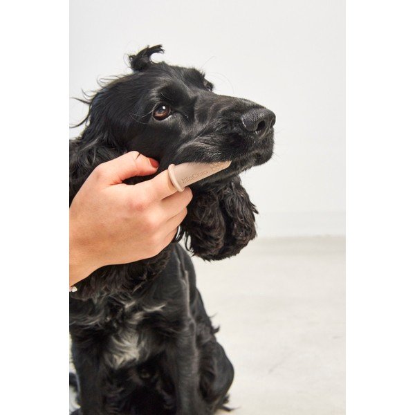 Mājdzīvnieku zobu birstes Dito – MiaCara-image-1