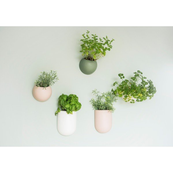 Gaiši rozā keramikas sienas pods PT LIVING Oval-image-1