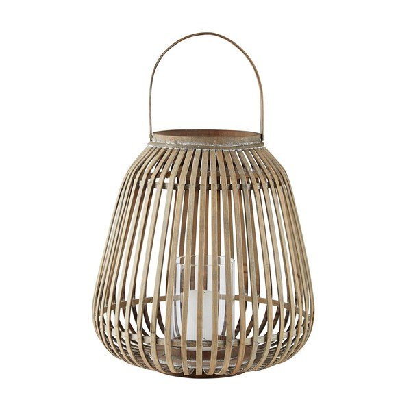 Bambusa laterna Villa Collection, augstums 40 cm