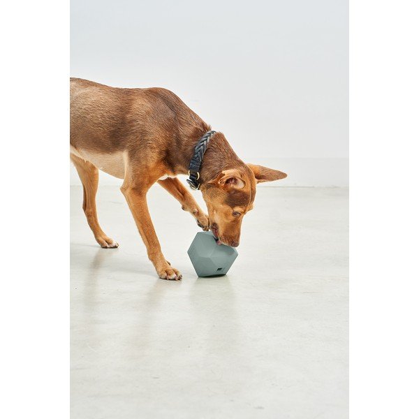 Rotaļlieta suņiem Dado Eucalyptus – MiaCara-image-1