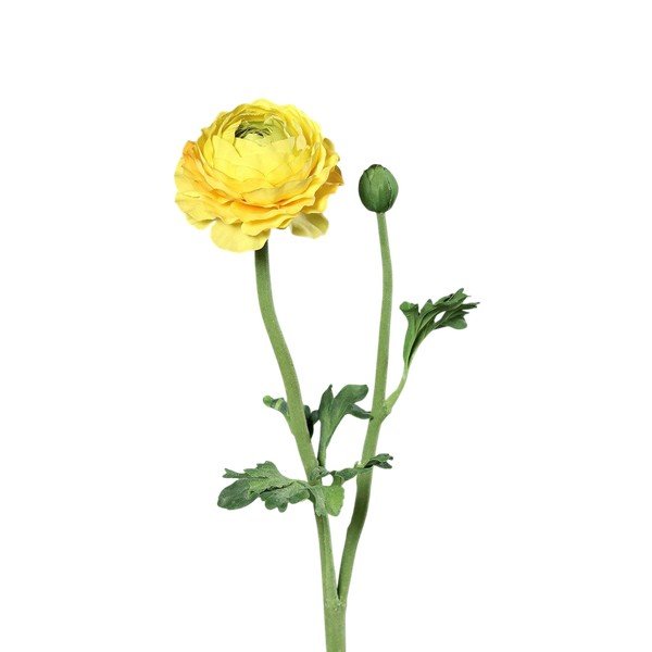 Mākslīgais augs (augstums 50 cm) Buttercup – Ego Dekor