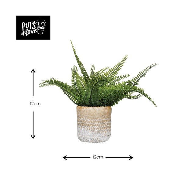 Puķu pods Kitchen Craft Ombré-image-2