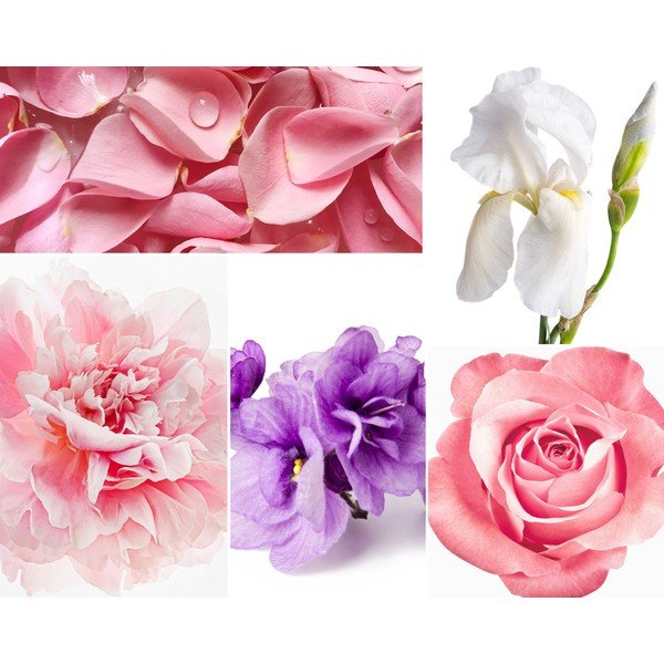 Difuzors ar kociņiem Privé Home Rose Pivoine, 200 ml-image-1