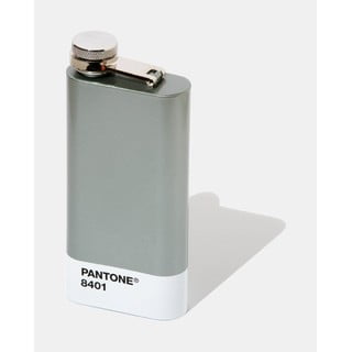 Sudraba krāsas blašķe Pantone, 150 ml