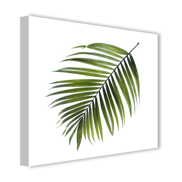 Attēls Styler Canvas Greenery Black Palm, 32 x 32 cm-image-2