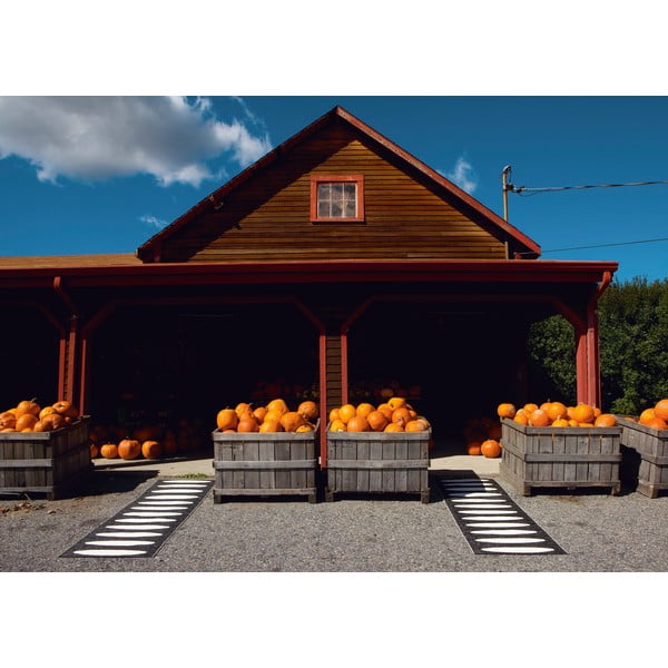 Melns iekštelpu un āra celiņa paklājs 70x150 cm Ella Black – Pappelina-image-3