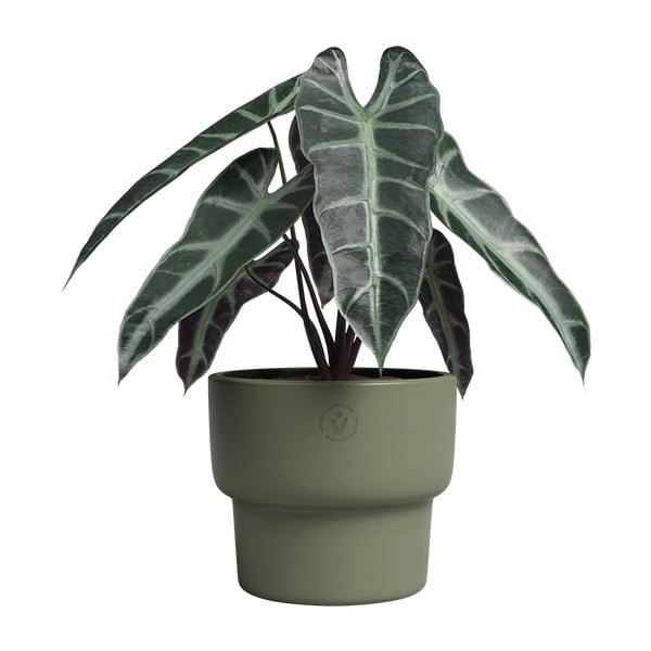 Keramikas ar rokām radīts puķu pods ø 17 cm Echo – Artevasi-image-2