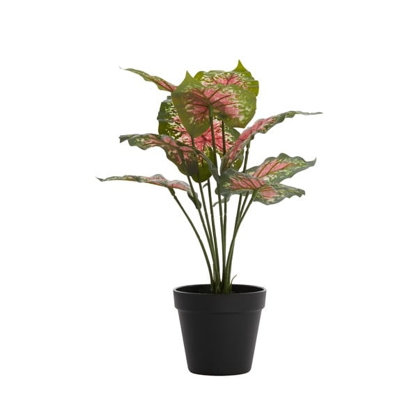 Mākslīgais augs (augstums 40 cm) Caladium – Light & Living-image-1