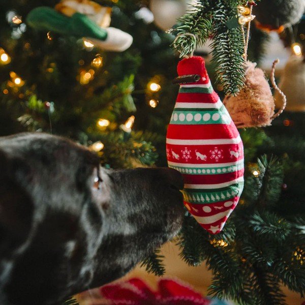 Suņu rotaļlieta Christmas Ornament Peace & Joy – P.L.A.Y.-image-1