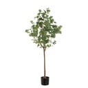 Mākslīgais augs Eucalyptus – Casa Selección