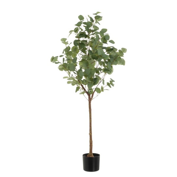 Mākslīgais augs Eucalyptus – Casa Selección
