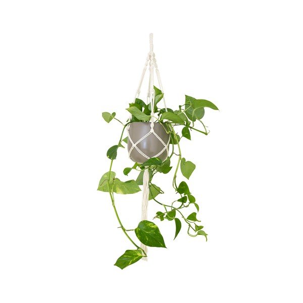 Tekstila ķēde puķu podiem ø 13 cm (augstums 100 cm) Macramé – Artevasi