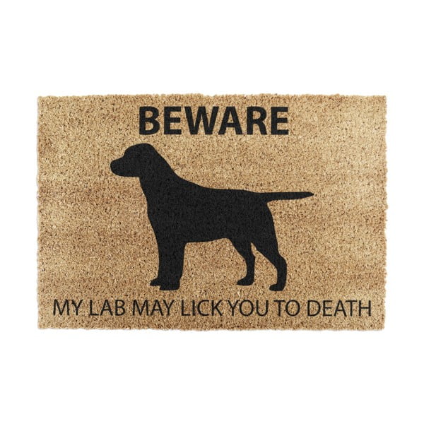 Kokosšķiedras kājslauķis 40x60 cm Labrador – Artsy Doormats