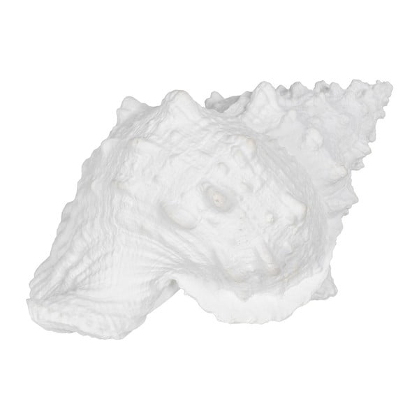 Polirezīna statuete (augstums 12 cm) Seashell – Ixia-image-3