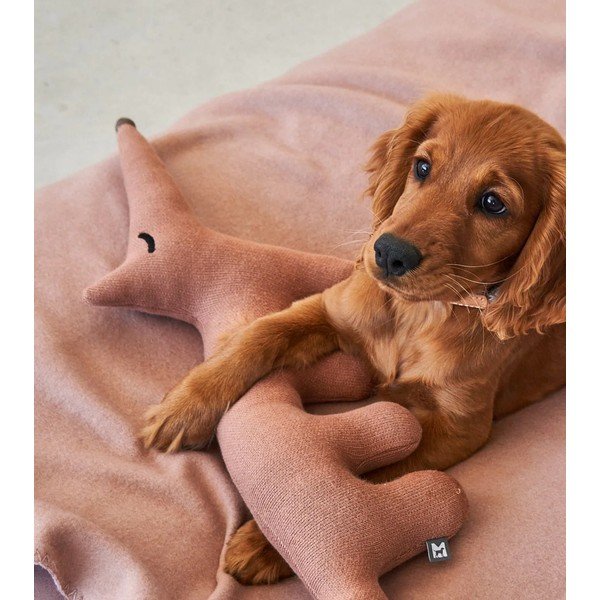 Rotaļlieta suņiem Bosco Rabbit – MiaCara-image-3