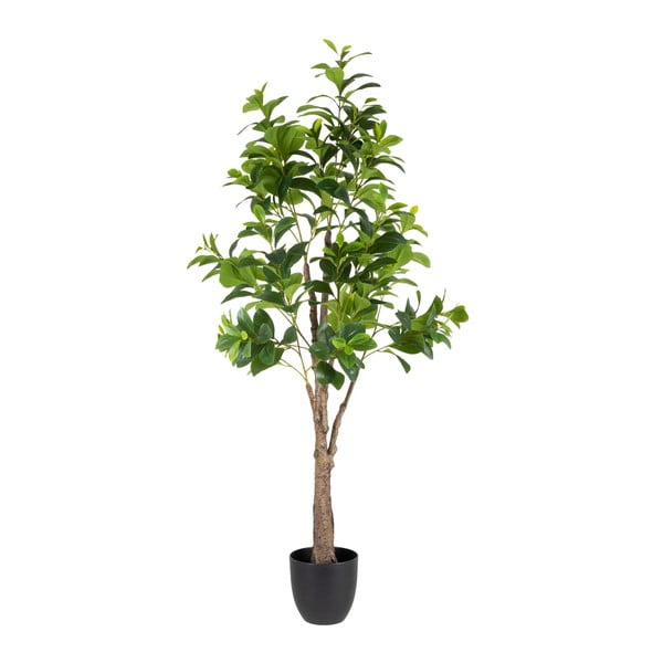 Mākslīgais augs (augstums 145 cm) Peperomia – Ixia