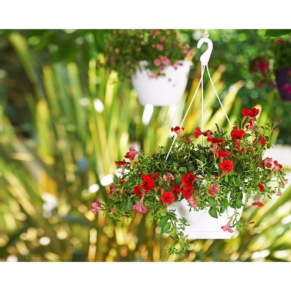 Plastmasas puķu pods ø 31 cm Algarve – Artevasi-image-1