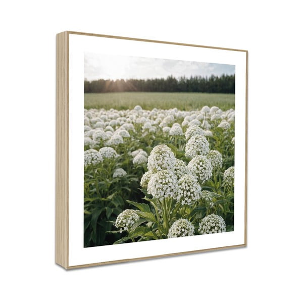 Gleznas (4 gab.) 30x30 cm Sunrise Hike-image-4