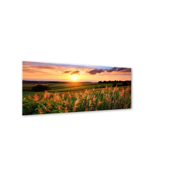 Image Styler Glas Sunset Meadow, 50 x 125 cm-image-1