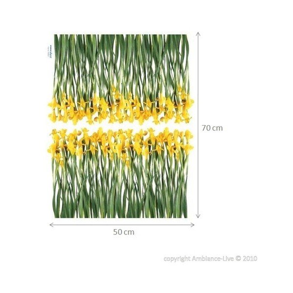 Uzlīmes Ambiance Iris Ziedi-image-1