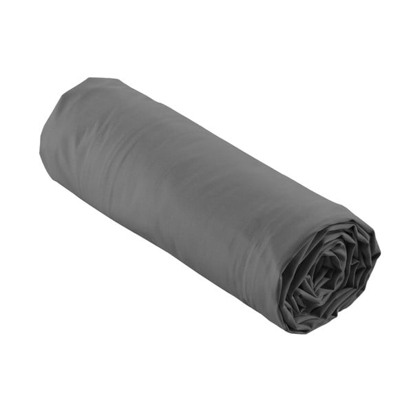 Antracīta pelēks palags no kokvilnas perkala ar gumiju 160x200 cm Percaline – douceur d'intérieur-image-4