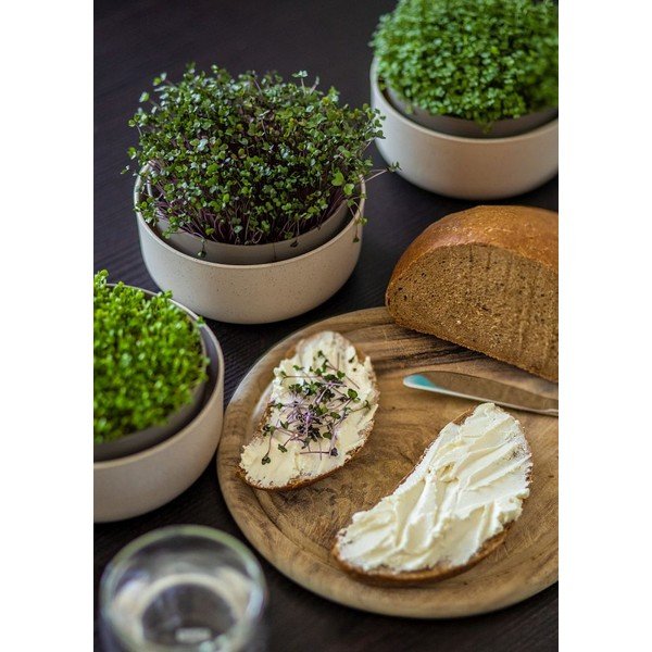 Plastmasas diedzēšanas trauks ø 16 cm Microgreens – Plastia-image-3